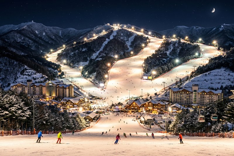 비발디파크 & 오션월드